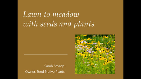 Lawn to meadow talk 9/14/26