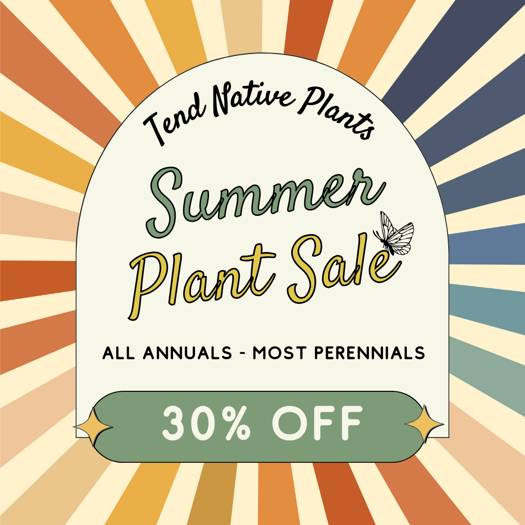 Summer sale