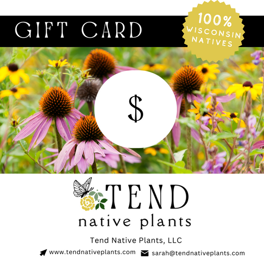 Tend Gift Card